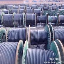 特種電纜 連接現(xiàn)代科技動(dòng)脈的“隱形守護(hù)者”