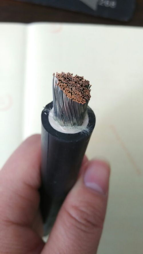 聚焦電力建設(shè) 1kV鋁芯架空線及特種電纜的技術(shù)發(fā)展與市場動(dòng)態(tài)